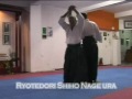 Tecnicas Examen Aikido - Sensei Raul Medina 6 Dan Aikikai