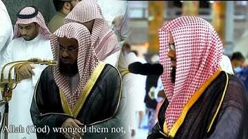 سورة آل عمران كاملة بجودة عالية لفضيلة الشيخ أ.د سعود الشريم 😴🌿🌿