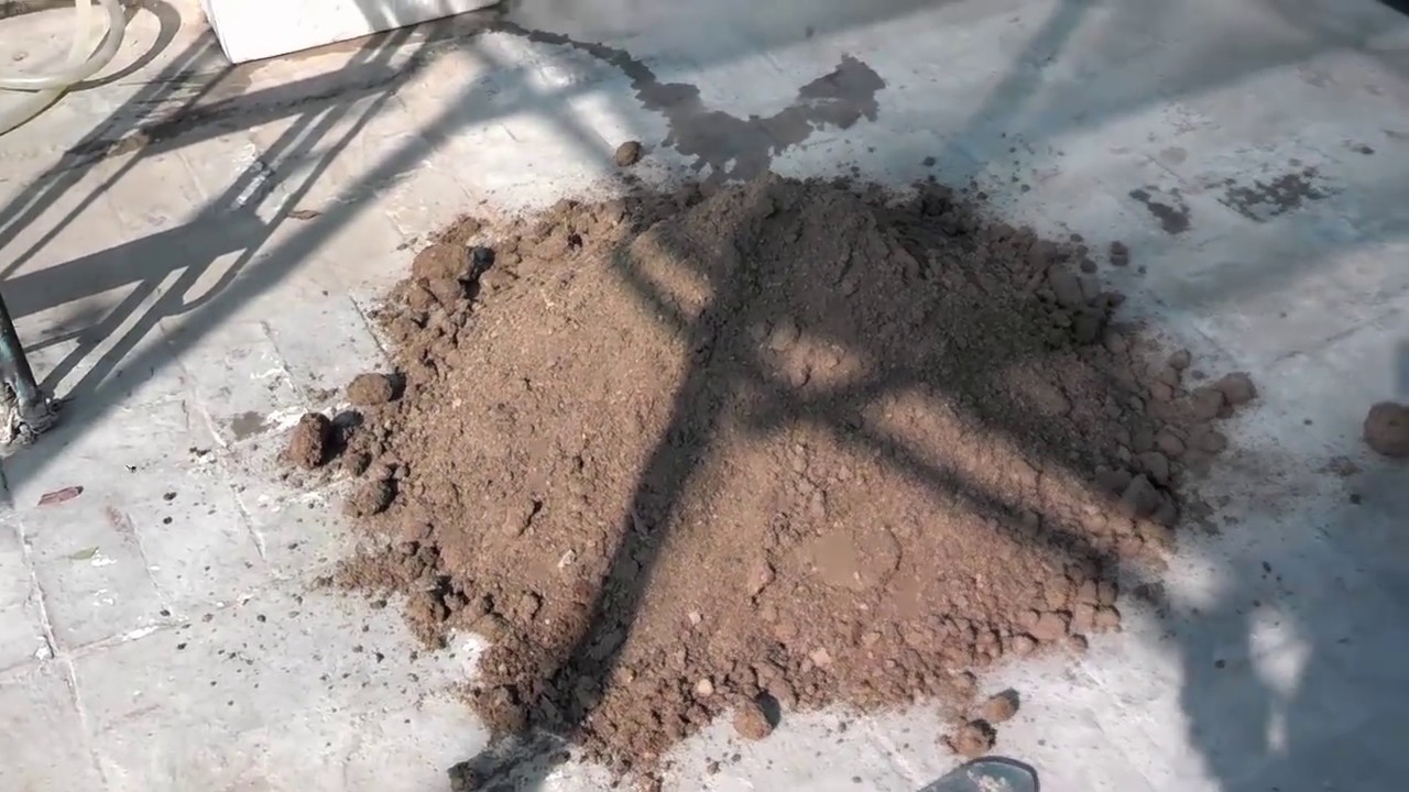 How To Use Cow Dung For Plants How To Make Organic Fertilizer