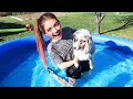 Teaching my PUPPY How to SWIM!