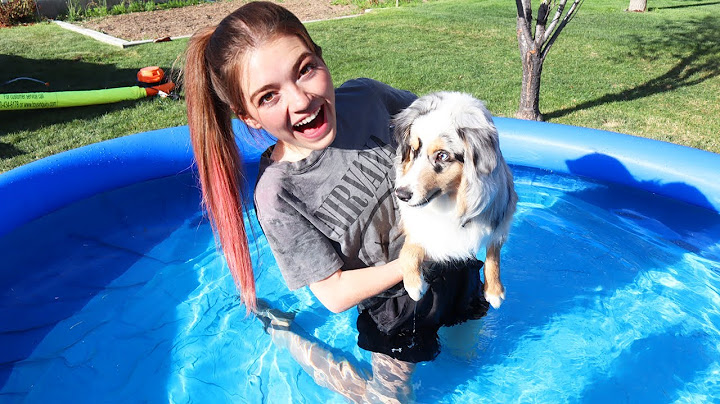 Teaching my PUPPY How to SWIM!