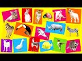 Learn English names animals and SOUND ANIMALS