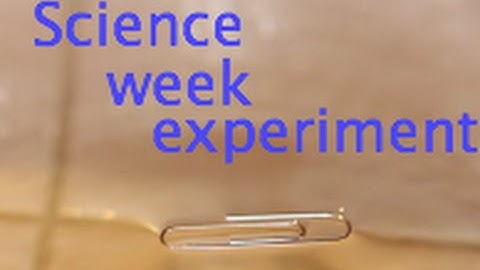 The Magical floating paper clip Science Experiment