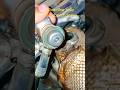 SCORPION S11 start problem DPF problem aari D Classic #shortvideo #shortvideo #shortsfeed #car #subs
