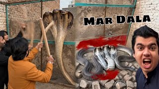 Big Snake Ko Mar Dala No More