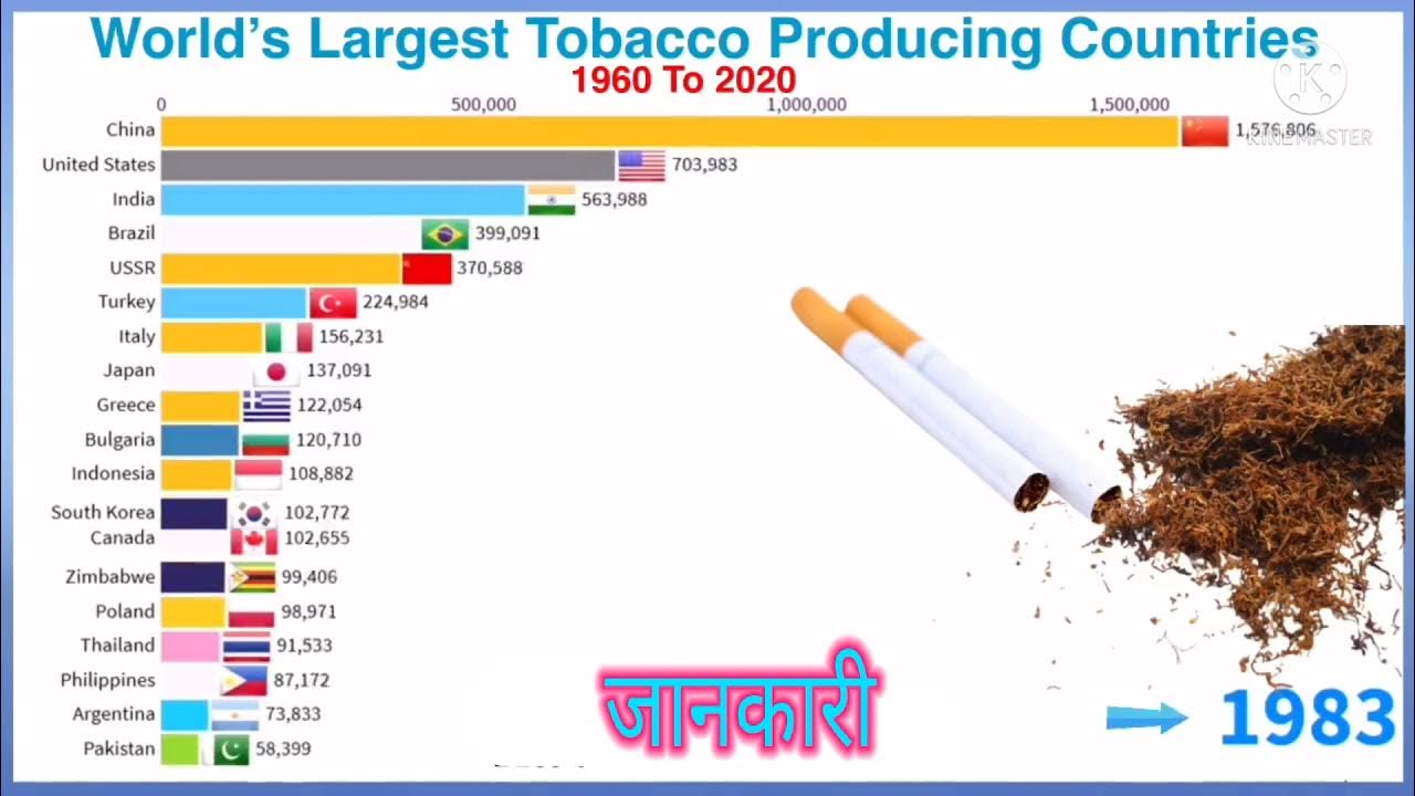 world's Largest Tobacco producing Countries YouTube
