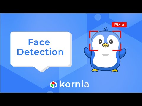 Real time FaceDetector with Kornia in CPU