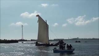 Grande Regata dos Moliceiros da Ria de Aveiro 2019