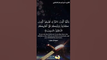 القارئ: شيخ ابو بكر الشاطري/دار البلاغ 🤍 #allah #quran #islam