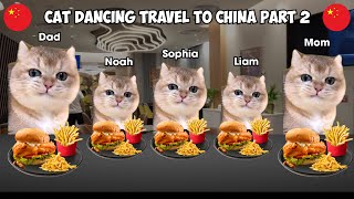 Cat Dancing Travel To China Part 2