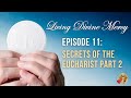 Living Divine Mercy TV Show (EWTN) Ep. 11: Secrets of the Eucharist Part 2