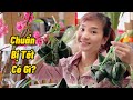 #123| Chuẩn Bị Tết Xa Xứ Bên Gia Đình Chồng Ở Mỹ Có Gì?