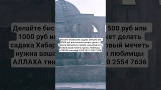 #муравьи #шейхсулейманаррухейли #аяталькурси #дом #джинны #сулейманрухейли