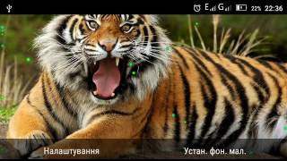 Tiger Best HD live wallpaper screenshot 5