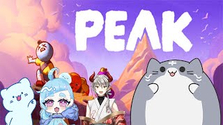 PEAK　何故山に登るかだって？そこに山があるからさ＃4