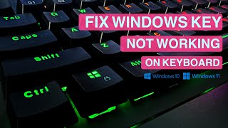Fix Windows Key Not Working On Keyboard With Windows 11/10 PC | Fix Start Button