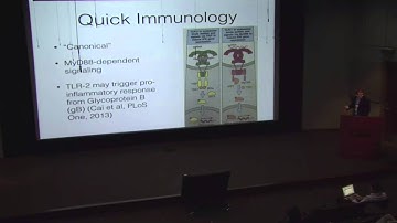 Big Data and New Methods for Bioinformatics: Analysis from Sequence to Result