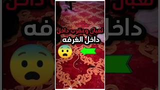 ⚠️اكتشف ثعبان وعقرب في غرفه النوم ??قصص تيكتوك youtubeshorts shortvideos saudi حيوانات غرائب