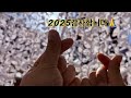 올해 낚시는 여기까지… 2025  정리