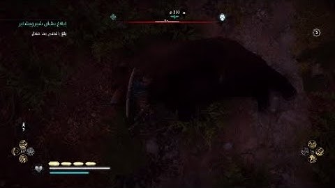 Bug xD | AC Valhalla