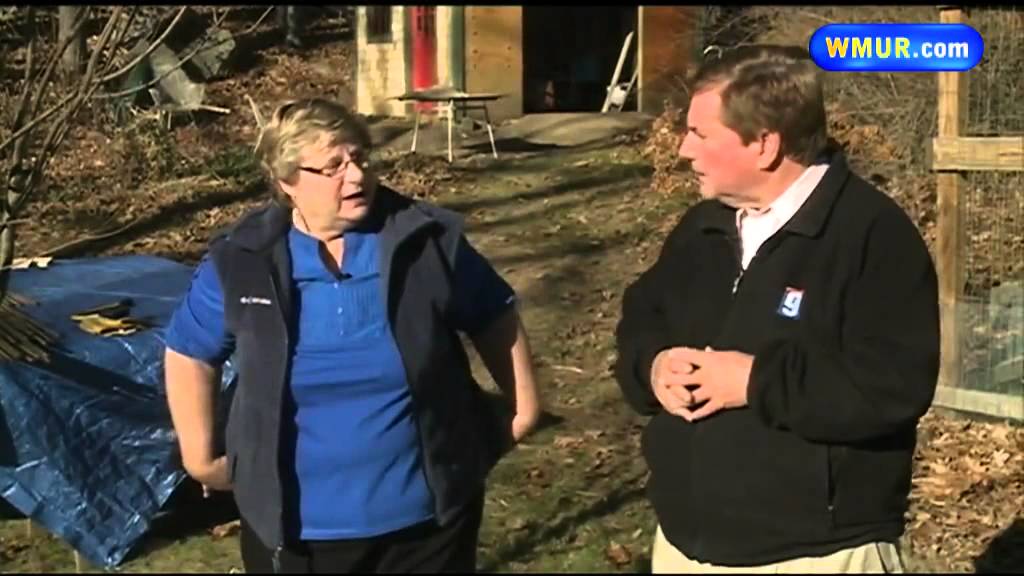 Grow it Green: How to protect young trees