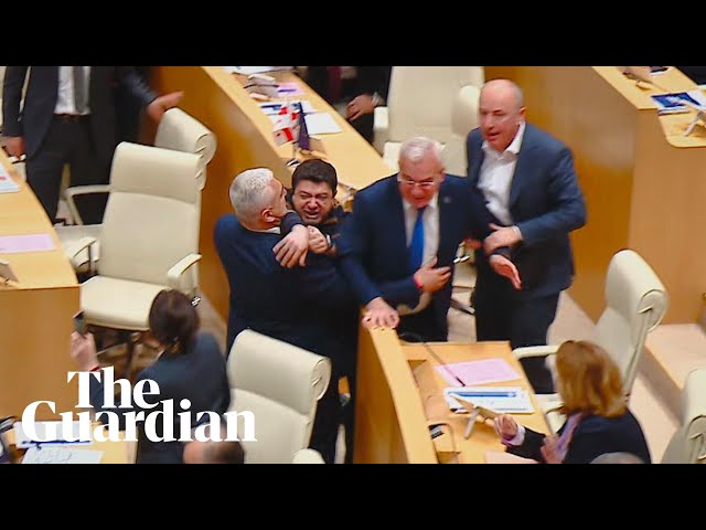 Brawl breaks out in Georgia's parliament as legislators vote on 'foreign agents' bill class=