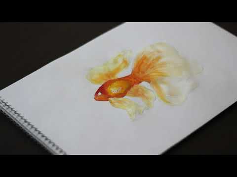 Рисуем золотую рыбку. Draw a goldfish.