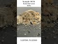 Sand Sample 0036 -- Ramashwaram, India