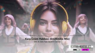 Kara Üzüm Habbesi - Tefo & Seko feat. İbrahim Tatlıses (EmilEmilio Mix) | JOYFULL - Emil MIX