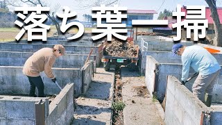 【古民家再生228】 お掃除回!今年も豚舎の落ち葉を片付けます! Restoration of old houses and country life