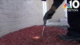 Dealing with pests at your home? Here's what to know before calling pest control