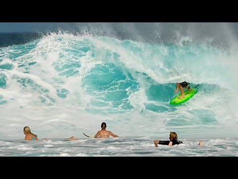 Mason Ho Surfing New …Lost Pisces Fish With Baby Bear - YouTube