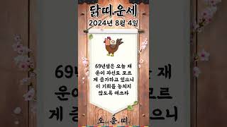 오늘의 닭띠 운세 2024년 8월 4일 #닭띠 #오늘의운세 #내일의운세 #운세 #운세쇼츠