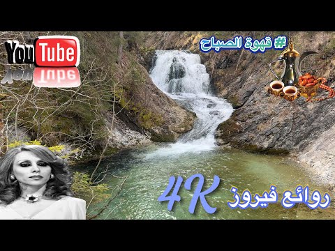 أغاني فيروز🎵️☕📸 -صوت فيروز الساحر يصدح في سماء ألمانيا🛤️جولة في السيارة🚘Fayrouz-Fairouz-Fairu #قهوة