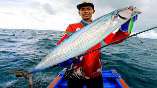 Joran Kuat dari Seahawk Dihajar Ikan-Ikan besar,, KINGDOM EXTREME EVOLUZIONE !!