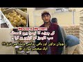 Bovans brown day old chicks  brown egg farming  poultry farming in pakistan 
