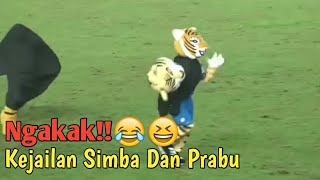 Aksi Jail Si Maskot Persib Bandung ||Simba & Prabu||