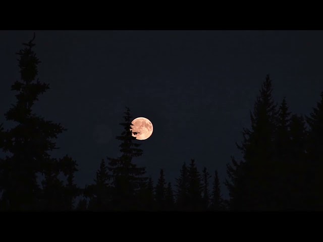 Michael Crowther - When the Moon Beckons