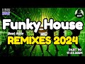 Funky disco house mix  djv 2024