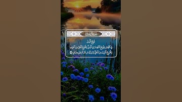#اكسبلور #المصحف #القرآن_الكريم #تلاوة_خاشعة #راحة_نفسية #duet #دويتو