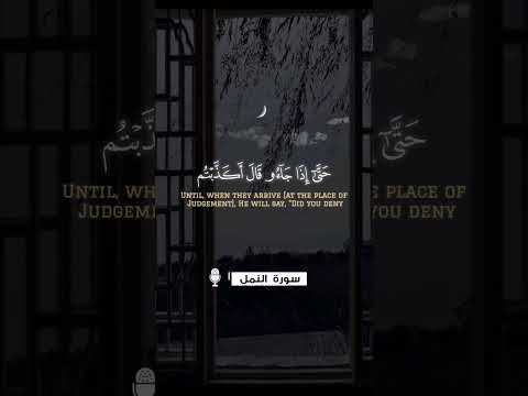 و ی و م ن ح ش ر م ن ک ل أ م ة ف و جا م م ن ی ک ذ ب ب آیات نا ف ه م ی وز ع ون تلاوة