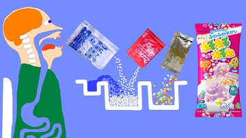 【Algodoo】Toilet while eating Japanese sweets(nerunerunerune grape flavored).　ねるねるねるねを食べながらトイレをする人