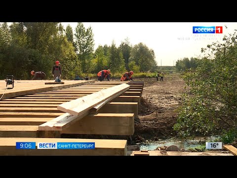 Скоростную трамвайную линию от Купчино до Славянки откроют к 2025 году