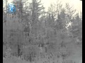 дальнобойщикам Mpg 