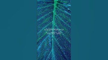 من أروع تلاوات الشيخ ياسر الدوسري #ياسر_الدوسري #قرآن #quran #quranverses #islam