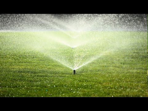 Wideo: Wskazówki dotyczące podlewania trawnika - dowiedz się, kiedy i jak podlewać trawnik