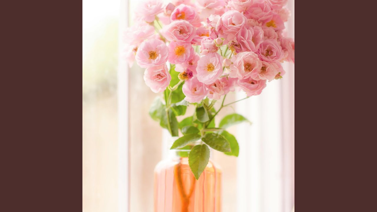 Mailbox of Unsung Songs