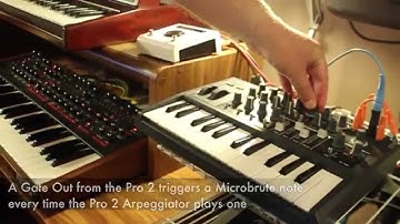 Pro 2 + Voyager + MicroBrute + H9 + Animoog + Borderlands - ExperimentalSynth