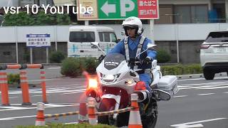 拡声器で説教気味に怒られる女性ドライバー！！停止線ガン無視で白バイが緊急走行！！•看板背負った某車両がぶっちぎり！ガキみたいにやり直そうとすなw•スクールゾーン取り締まり！•モペット検挙！？等