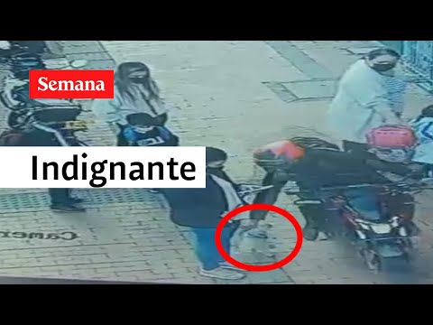 ¡Increíble! Hasta los perros son víctimas de la inseguridad